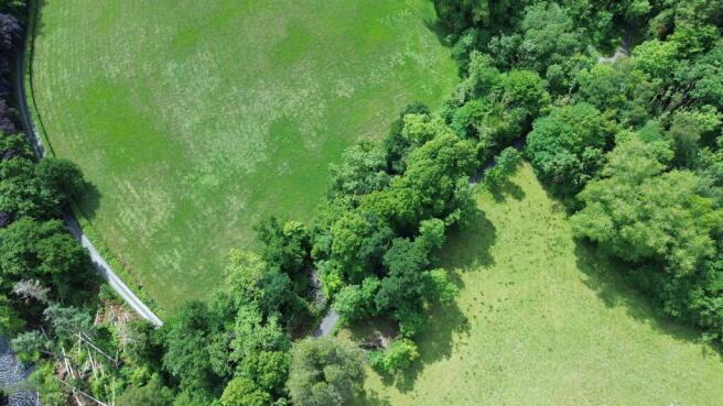 Woodland T202511101300.jpg