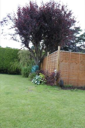 Photo 32