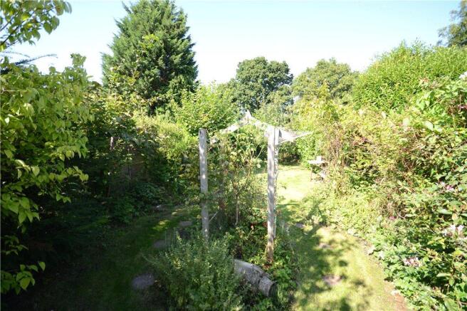 Garden Shot 2