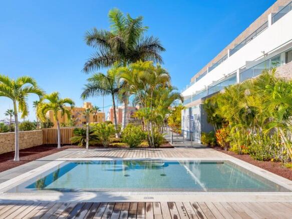 Caleta Palms swimming pool