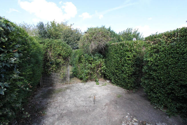 Patio Area