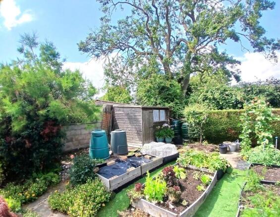 Garden 5.jpg