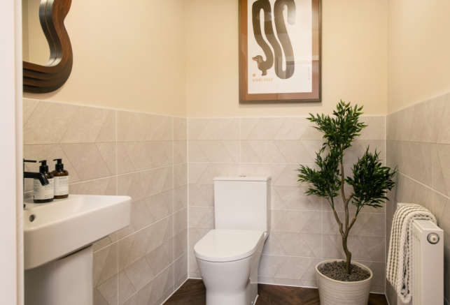 Lime-WC