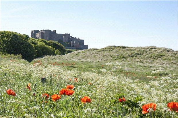 Bamburgh Castle