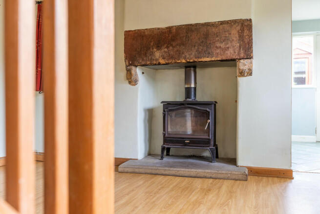 Living Room Stove