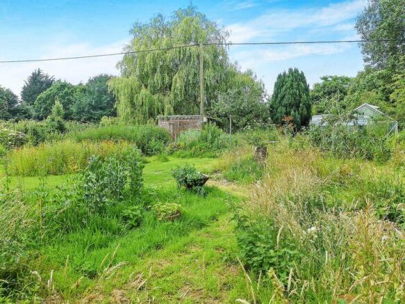 garden
