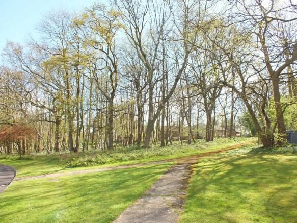 COMMUNAL GROUNDS