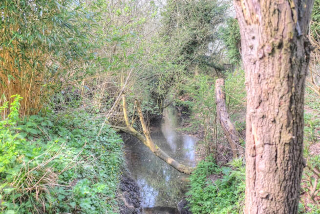 Stream