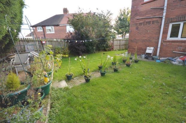 Garden (3)