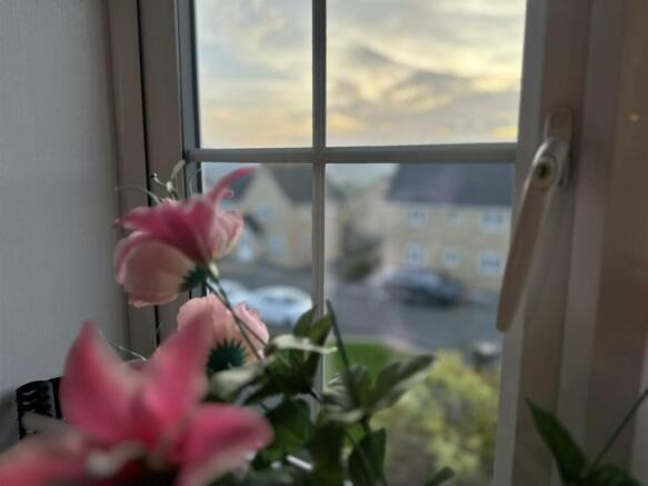 IMG_4745.JPEG