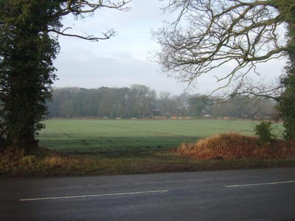 NEARBY FIELD