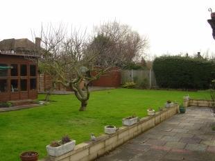 Garden 1