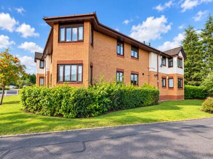 South Park Grove, Hamilton