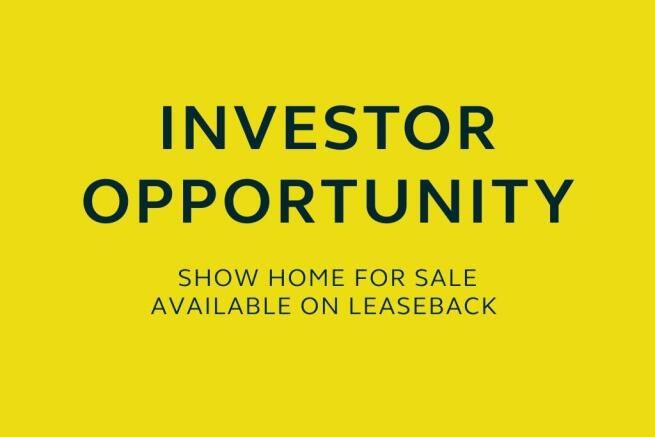 Investor Opportunity