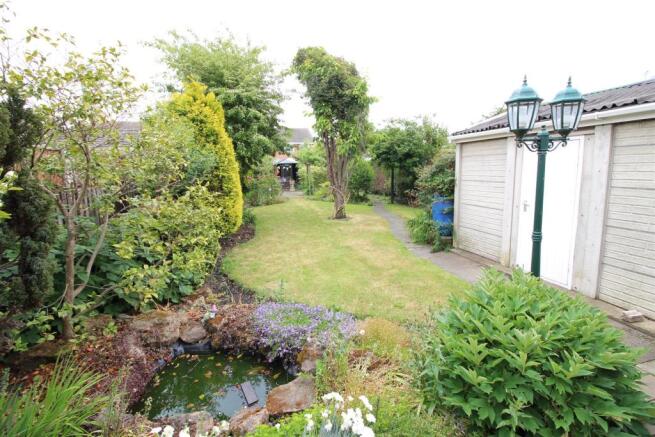rear garden.JPG