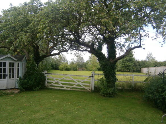 Photo 22