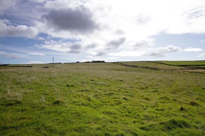 Farmland