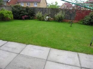 View of Garden