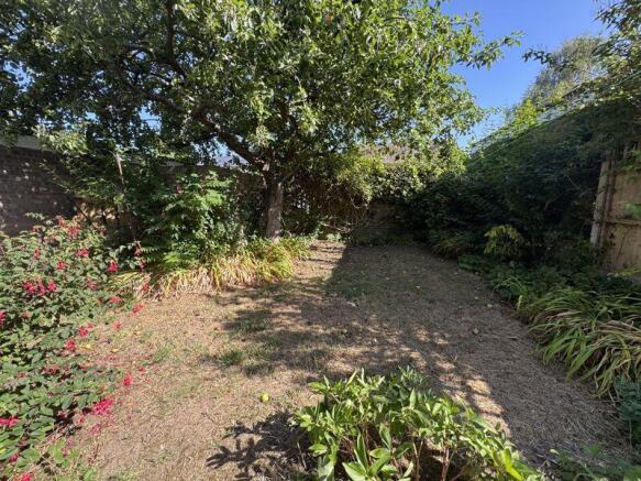garden