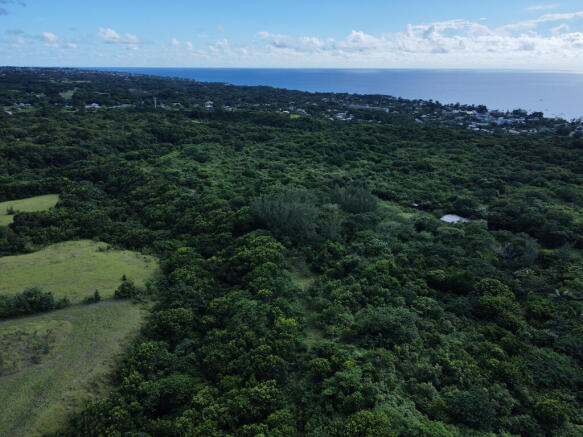 36 Acres, Holetown