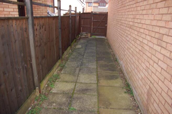 Photo 15