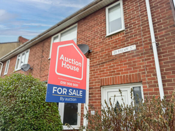 IMG 0775 T202601201413.jpg