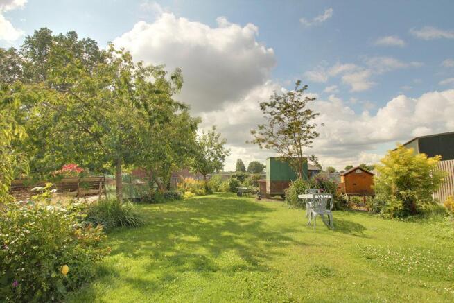 Garden at Back