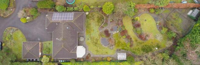Aerial Garden