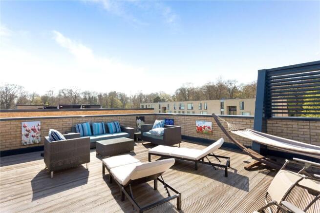 Roof Terrace