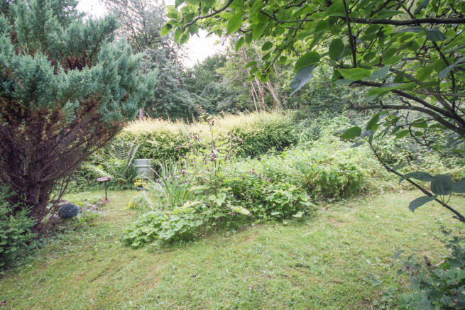 Photo 22