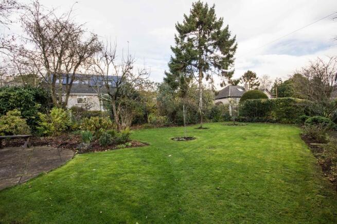 Side Garden 