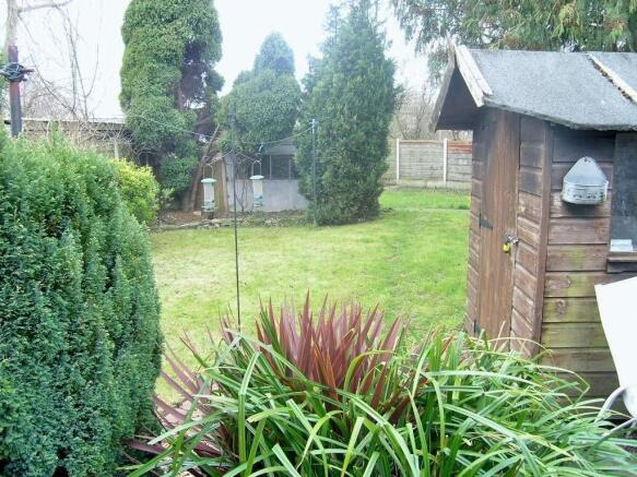 garden 1