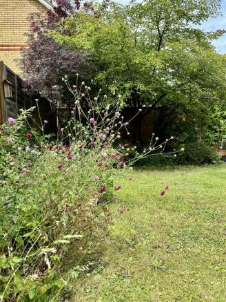 Photo 15