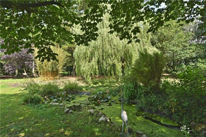Grounds