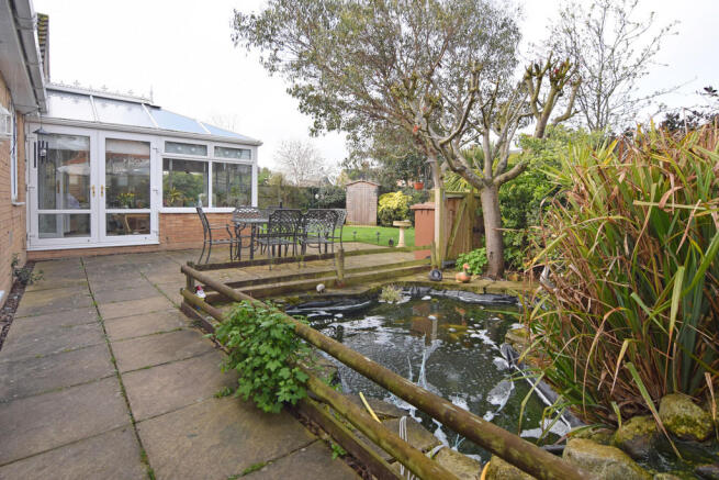 Pond and Garden