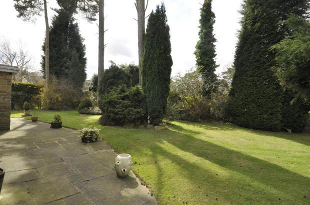 Garden Pathway