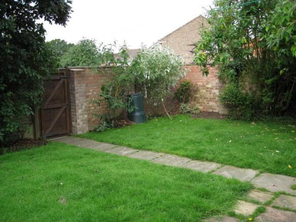 Back garden