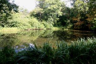 The Lake.