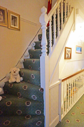 Photo 20