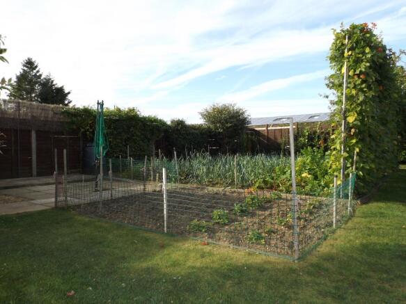 Vegetable Plot