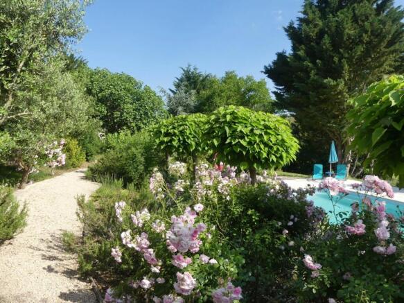 Beautiful lush garden with a path and a swimming p