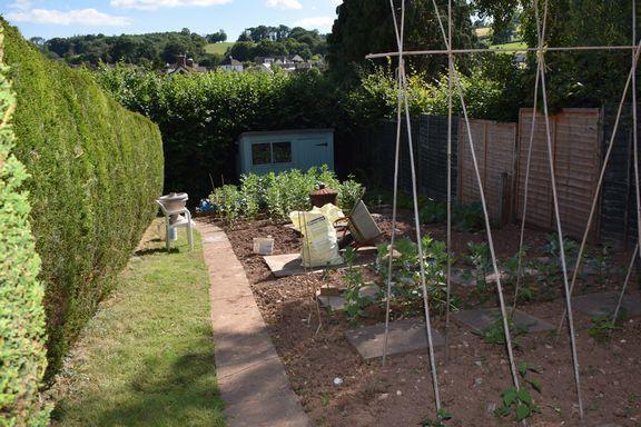 Veg Plot