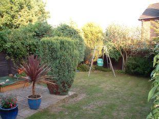 Garden 1