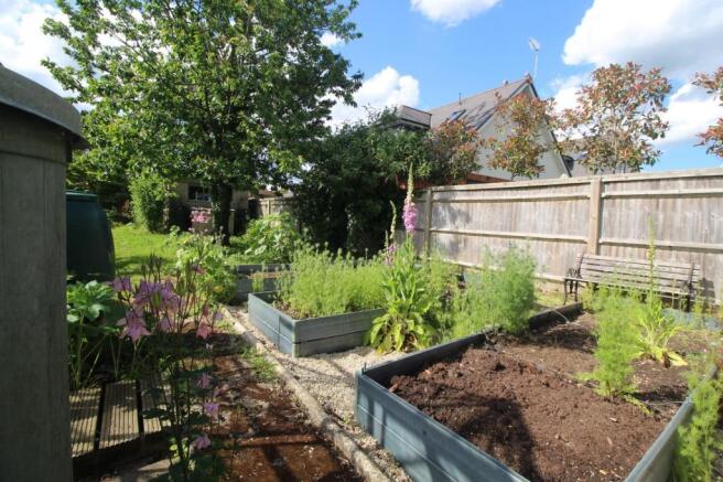 vegetable garden