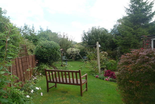 Photo 7