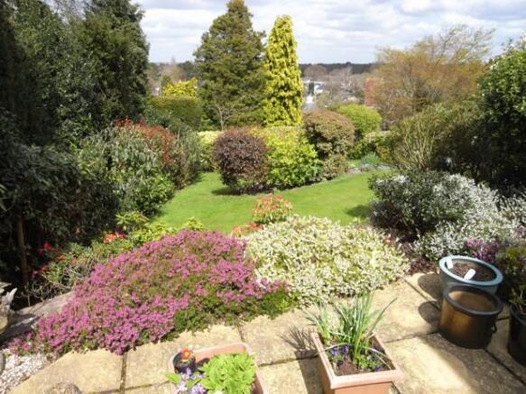 terrace & view