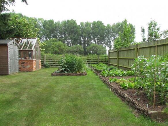 Vegetable Garden
