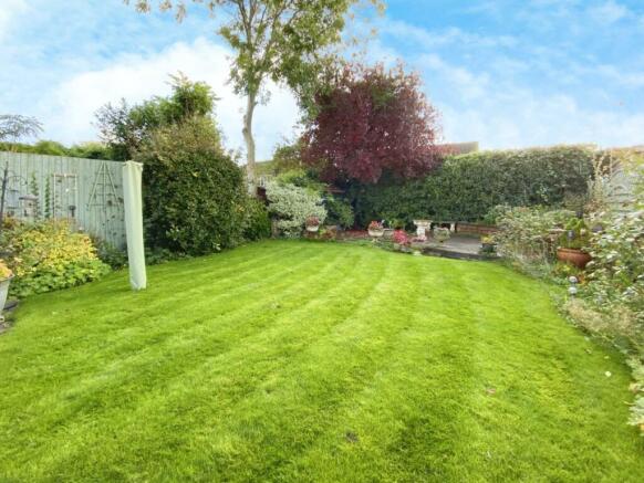 8.jpeg