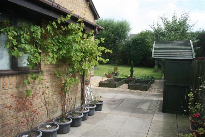 Photo 15