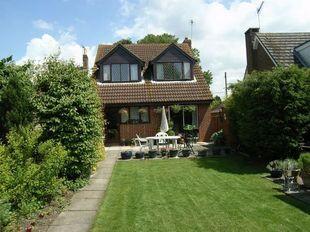 Rear view of house